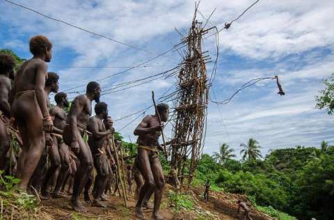 死亡游戏!瓦努阿图的蹦极成人礼,敢跳才是男人