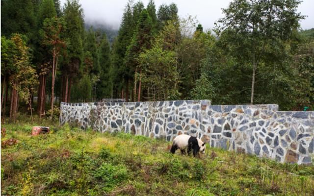 不好意思 ,我要去雅安了
