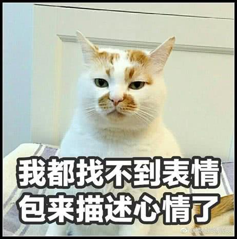 动画:我都找描述表情来不到心情了早上表情动画表情图片