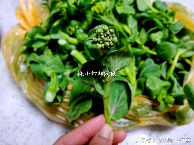 这食材就算开花了也受到喜欢，常吃身体好，补充维生素，软嫩好吃