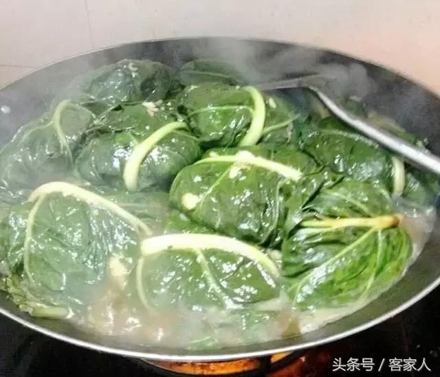 客家人以前用来喂猪的\＂猪麻菜\＂，现在却成了餐桌上的美食！