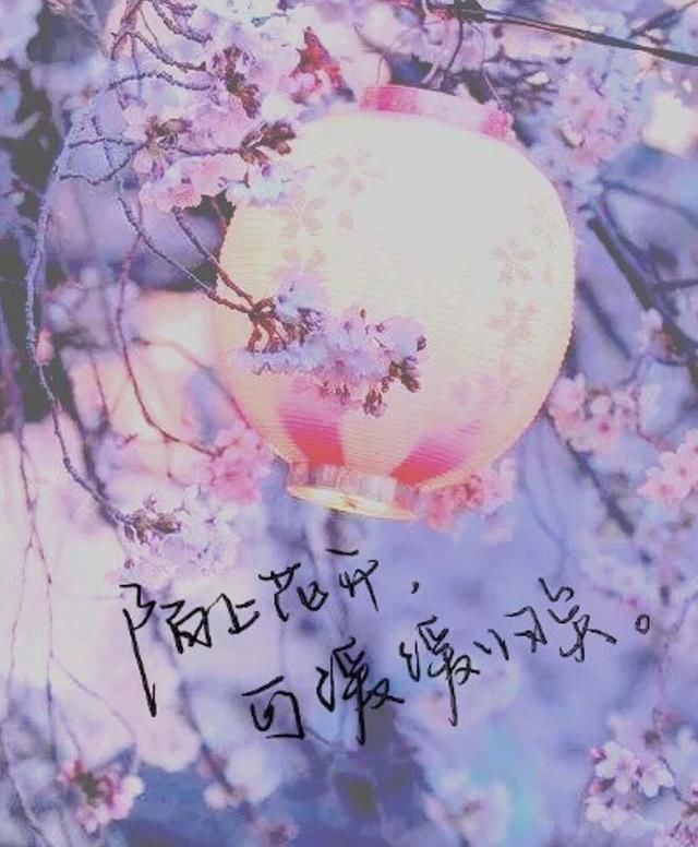 忘不掉一个人，最是煎熬