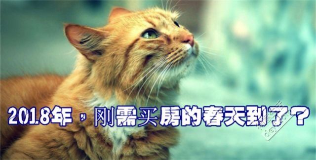 武汉户型越做越大，刚需优先购房也买不起!谁说2018春天来啦?