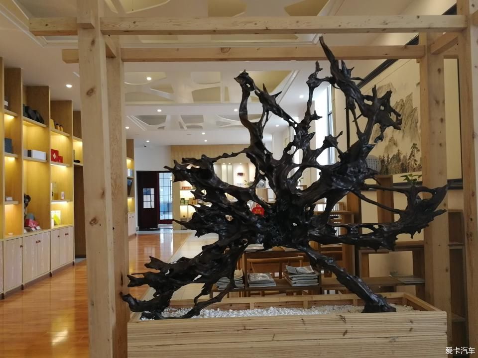 参观牛碾坪万亩观光茶