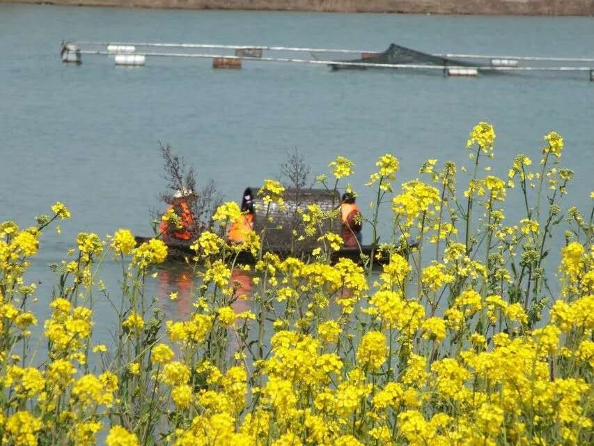 清明节小长假不知道去哪玩?郑州周边1-3日游线
