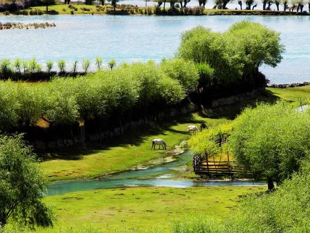 林芝虽美，却是因为来自这条母亲河的滋养