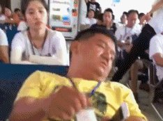 树:我终于渡劫成功啦,我飞升啦! AG真人娱乐注册