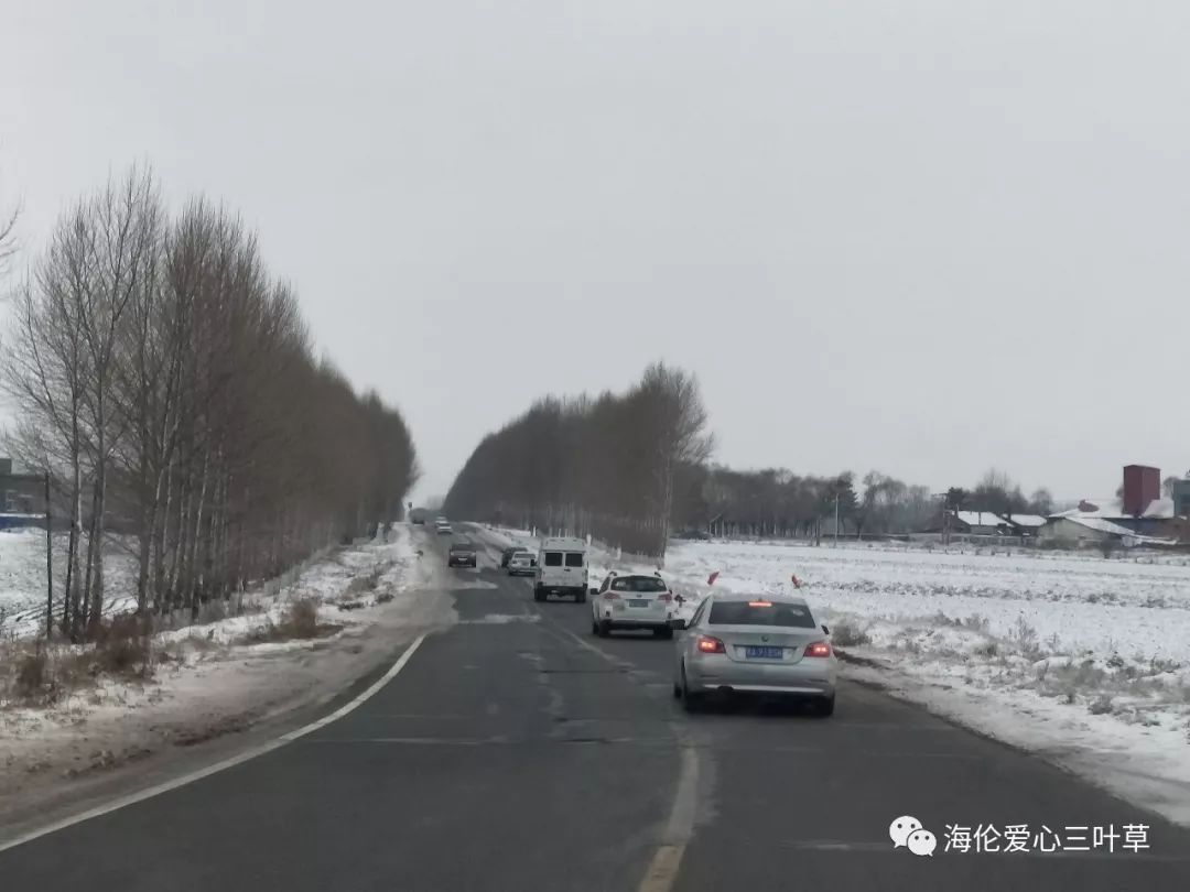 【三叶草回访】庆艳母女生活现状