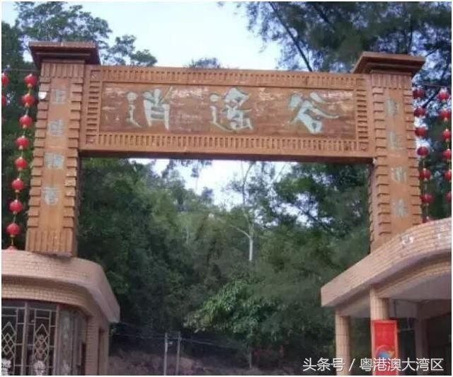 深中通道、深茂铁路...以后去中山更方便了!吃喝玩乐攻略快收藏~