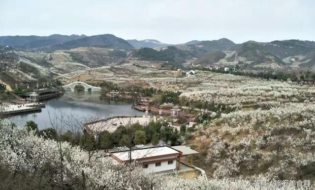 汉中西乡樱桃沟万亩樱桃树上，雪白的樱桃花目前即将绽放。约吗？