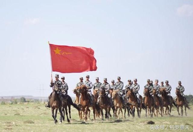 中国的机械化：从80年代一千万匹骡马，到现在2亿辆汽车！