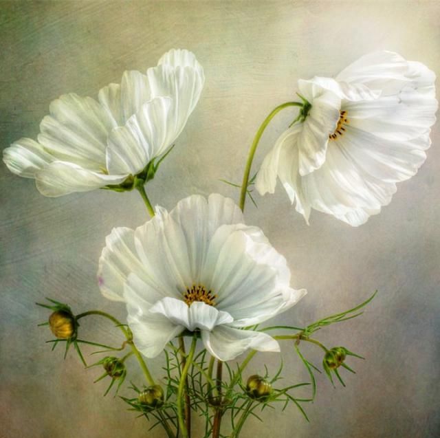 人都是感悟句子