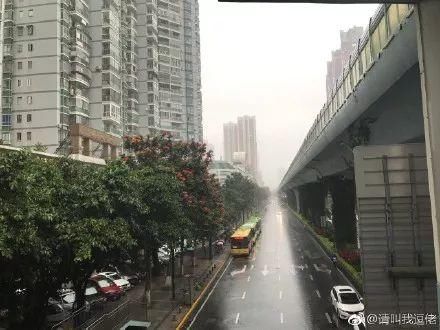 暴雨+雷电！厦门气象台连发预警，大风大雨已到！今晨竟出现了双