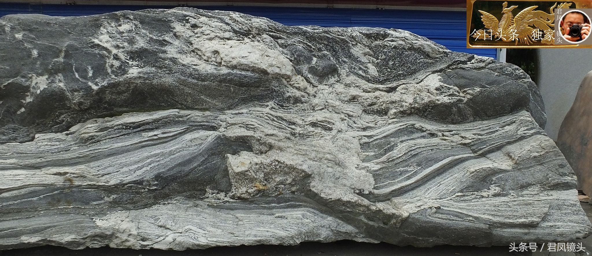 奇石摄影:园林景观石长相奇异!“大展宏图”售价580万元!