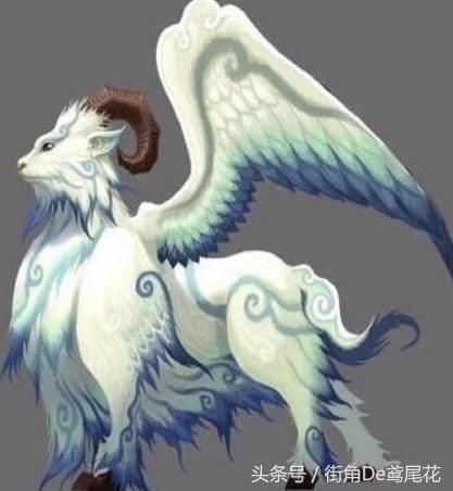 十二星座专属守护神兽,射手座的贪婪聪明,天蝎座的狡猾爱吃!极端座水瓶图片