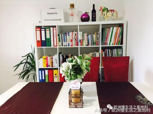 奥地利和国内的房子有什么不同？
