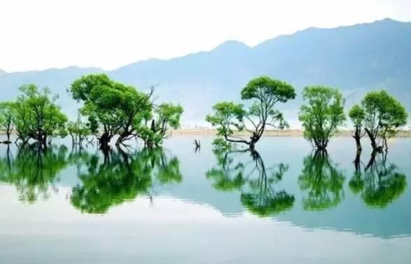 8个站点首曝光!昆明到大理动车大部分路段施工完成