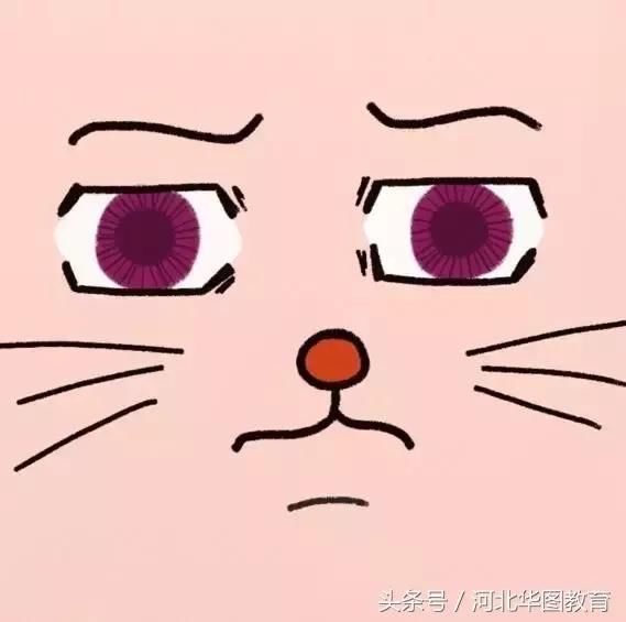 事业编与公务员编制中的区别有哪些?