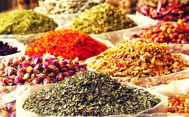 有一种旅行,叫带父母去迪拜!