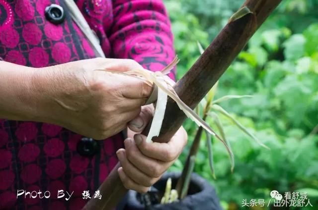 安徽舒城：影像志｜夏日的雨天 游“世外桃源，三国故地”天子寨