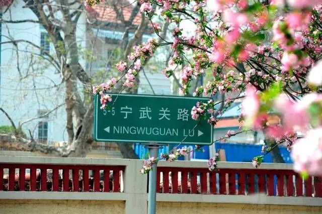 清明节小长假不知道去哪玩?郑州周边1-3日游线