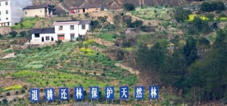 好消息:农村退耕还草、退耕还林新补贴,最高1600元