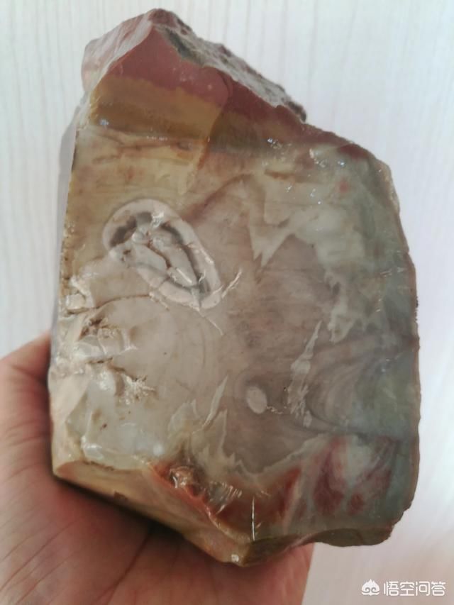 为什么不能捡石头 t01d802f0e601d7b357.jpg