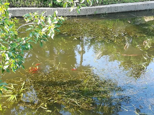 福彩3D18172期号码预测:大胆绝杀单挑六注号