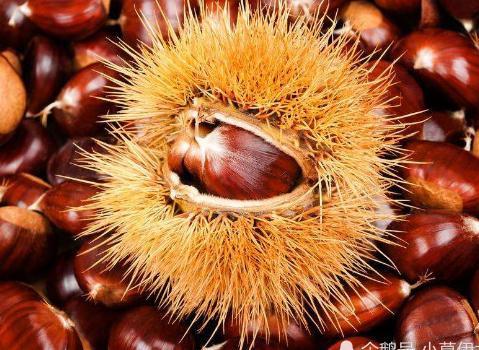 男人肾不好,要经常吃这4种养肾食物,让你的肾