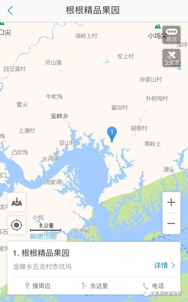 甜润到心、汁水四溢！2018千岛湖最新摘枇杷地图了解一下！