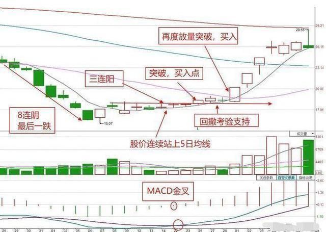 中国股市的“庞氏骗局”终于露出了真面目：散户深夜发出“哭嚎”