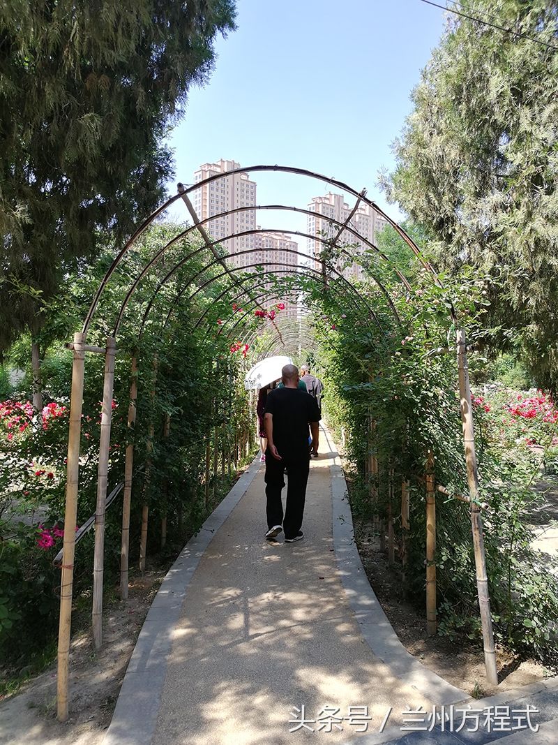 来兰州旅游 安宁这个地方一定不虚此行 这儿的