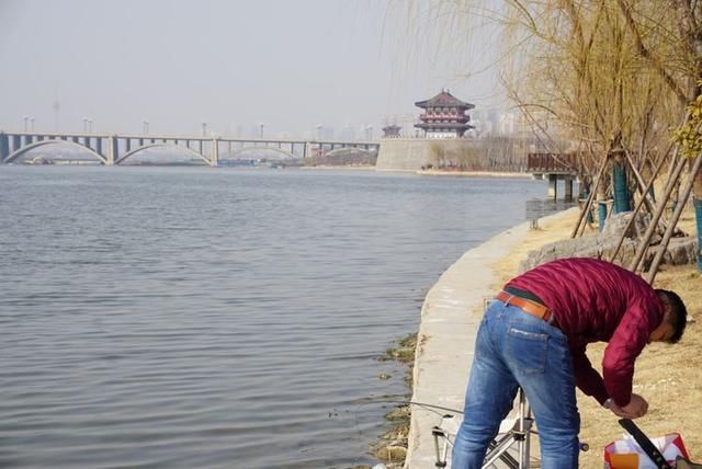 春节闲逛走拍洛阳百态之四：瀍河洛浦梅花艳，桥飞蛟龙丝路长