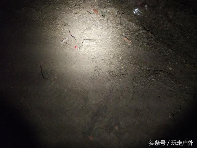 今夜河南汝南、平舆等周边几县大半夜出现地震谣传