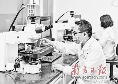 南方日报:2017自然指数科研城市榜单发布