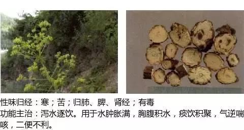 t01d96690fff013c3b7.jpg