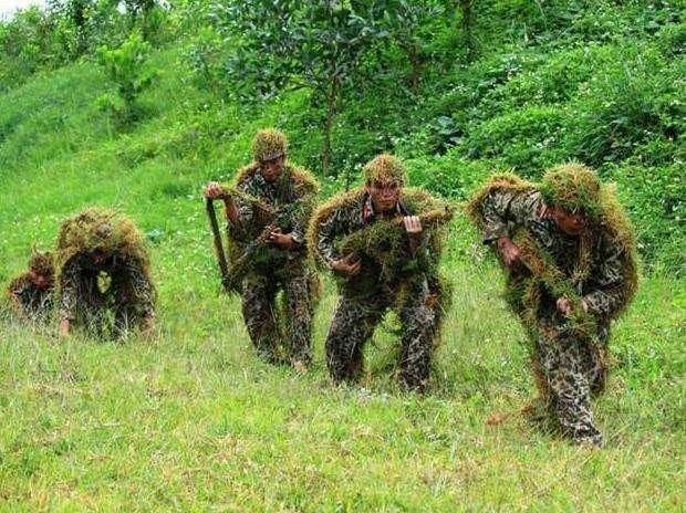 士兵们的各种高超伪装术，最后一个连狗都没有发现