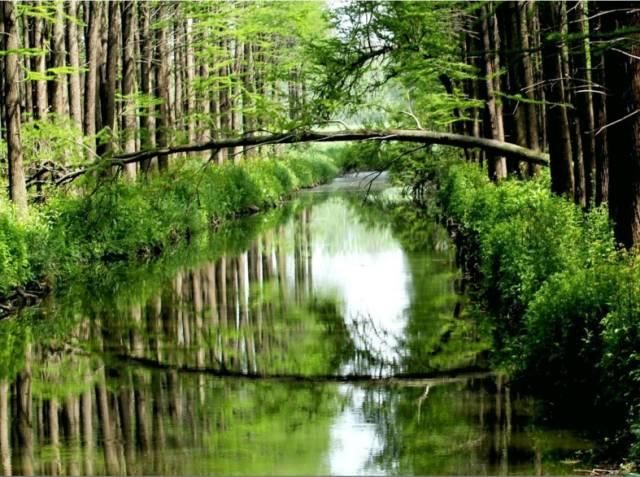 泰州旅游景点门票，泰州旅游十大景点