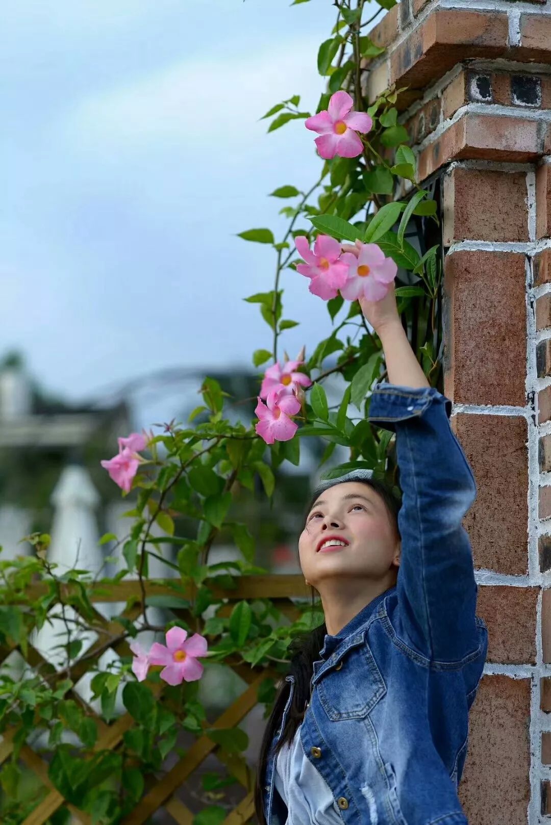 一对夫妻把青白江农家改造成“田园牧歌”，从此家有美景何必远方