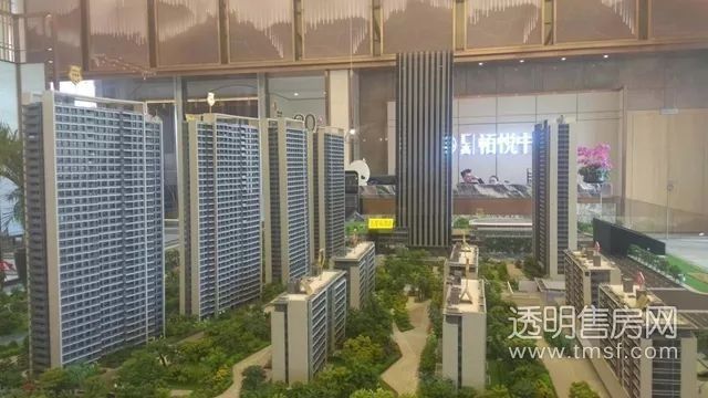 最低单价1万起，这里摇号热度空前，是楼市的价格洼地