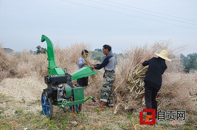 荣县高山镇确保秸秆不烧一把火,44台秸秆粉碎