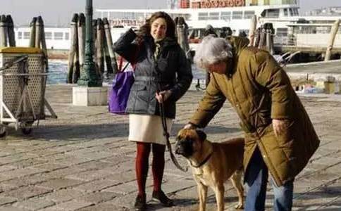 国家关于小区养狗规定