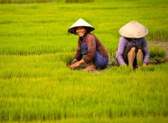 中国游客到老挝旅游，被老挝百姓的干活场景震住了