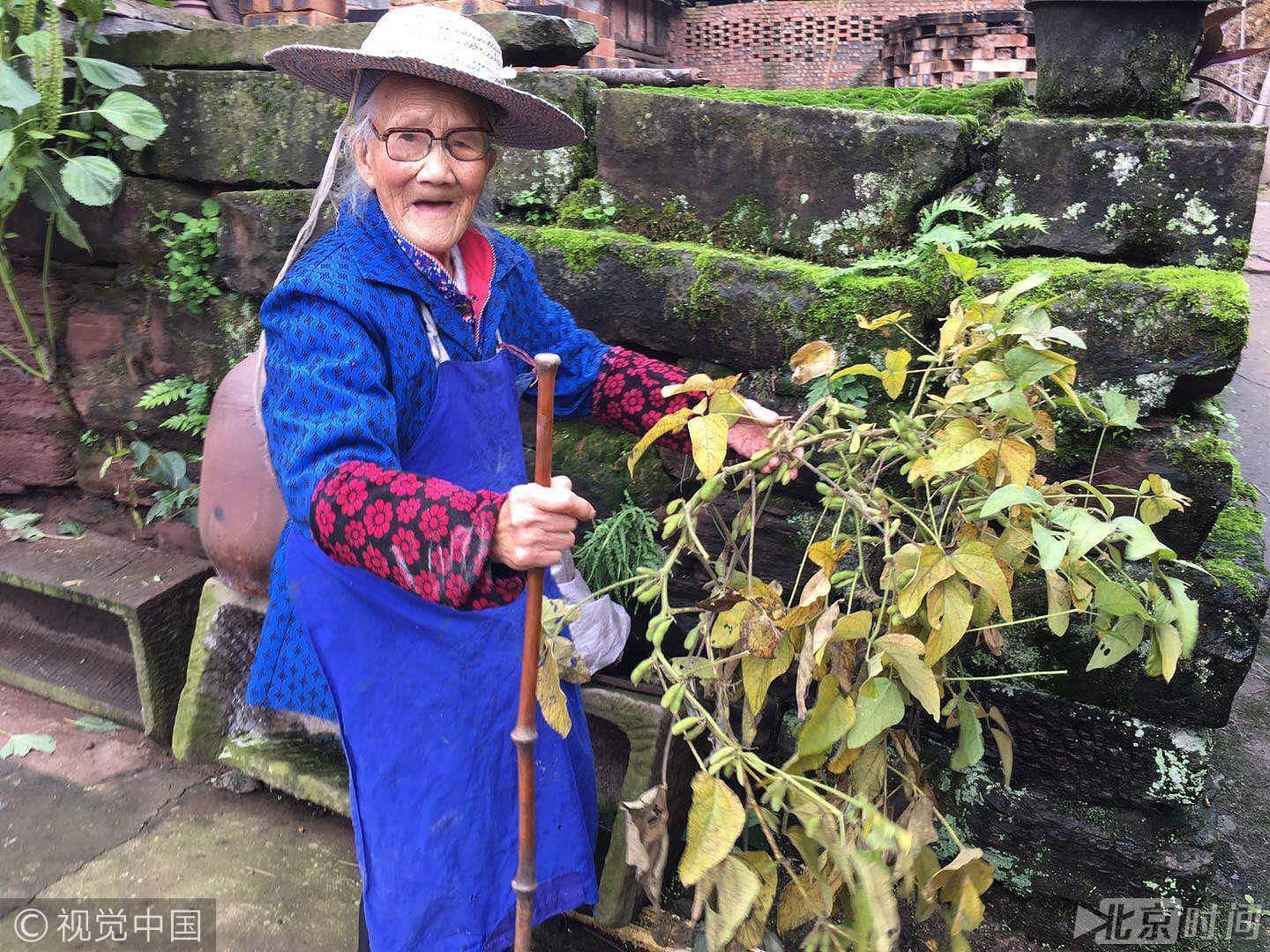 笑称自己4岁才会走路 104岁老人如今还能种瓜