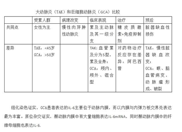 大血管炎从机制到临床的最新进展