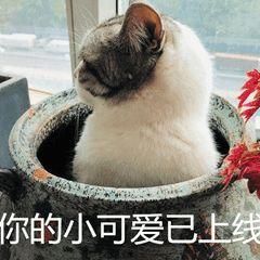 办公交卡在哪里办