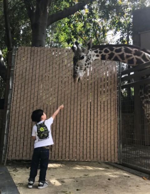 陈楚生二胎得子 两个儿子同框超有爱 沉寂多年