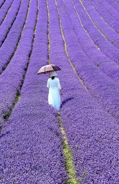 情人节，我想带你去旅行!