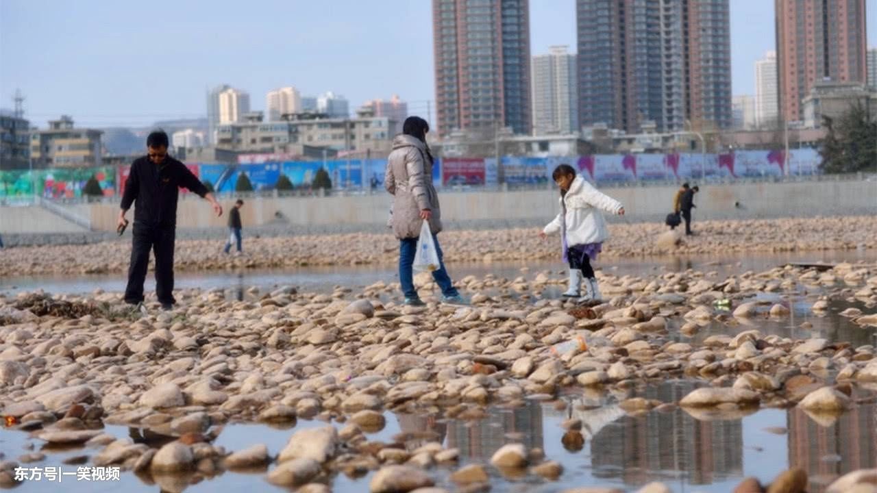 黄河水位下降，兰州段河床露出，数万市民一起下河捡奇石！