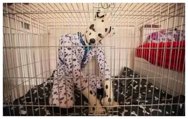 年未婚夫选择变成一条狗,睡狗笼吃狗粮,原因:当